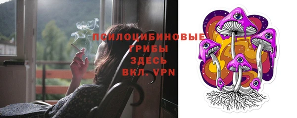 метадон Белокуриха