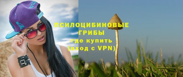 гидропоника Белоозёрский