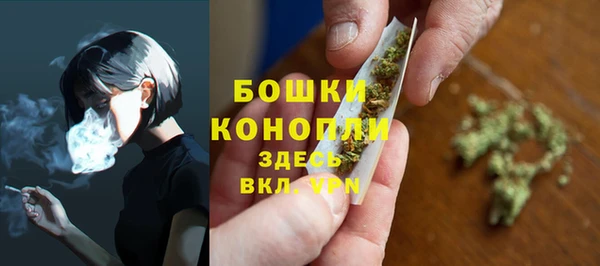 метадон Белокуриха