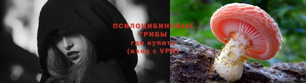 метадон Белокуриха